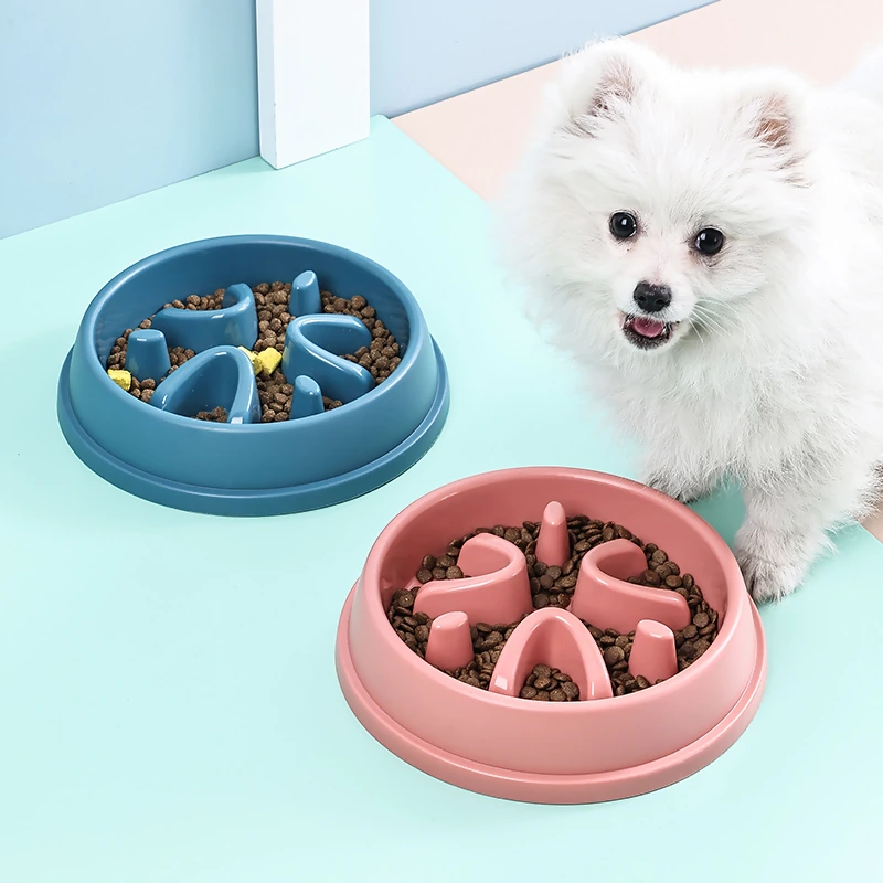 duolai-round-03-blue-pink-dog